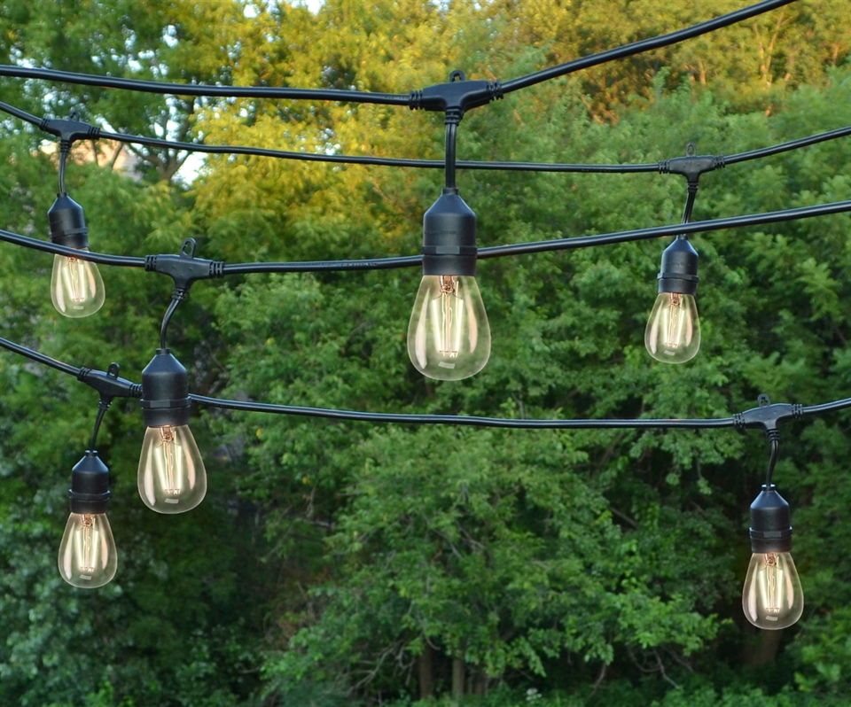 The 10L S14 Vintage Patio Light Kit - Warm White hangs outdoors among lush green trees