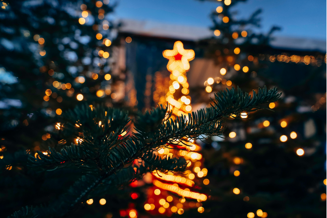 Pine tree branches green close up Christmas lights star topper NEI Distributors North Reading MA.