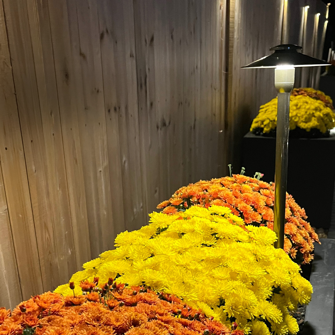 Outdoor wall lamp black silver soft light medium bright yellow orange flowers NEI Distributors North Reading MA.